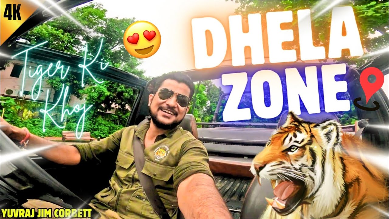 Early Morning Safari in Dhela Zone 🌄 | Jungle Beauty & Tiger Footprints 🐾 #yuvrajjimcorbett 