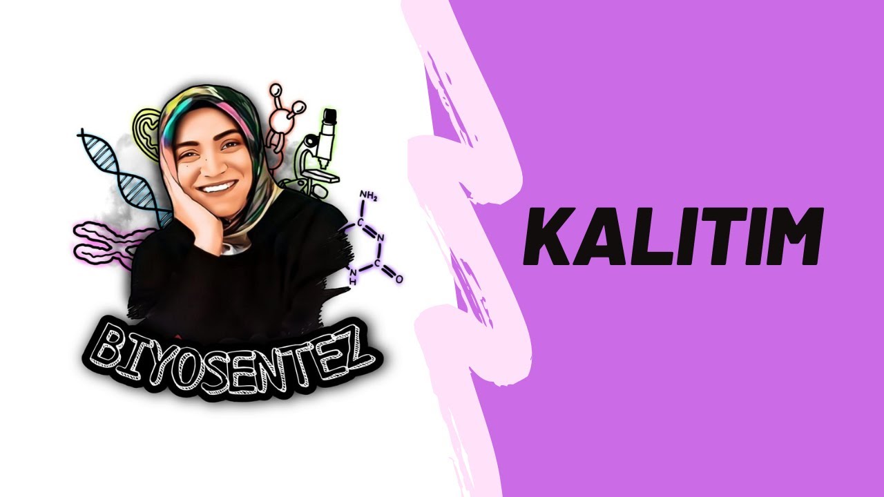 Kalıtım Yapamayanlar, Yapmaya Niyetlenenler Bekleniyorsunuz... KALITIM FULL TEKRAR