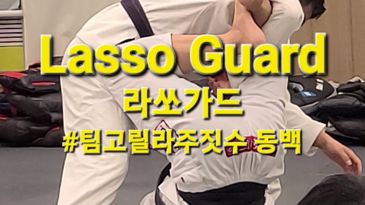 20250725 SHINCHONGORILLA SEMINAR 라쏘가드 Lasso Guard #라쏘가드 #lassoguard #jiujitsuseminar