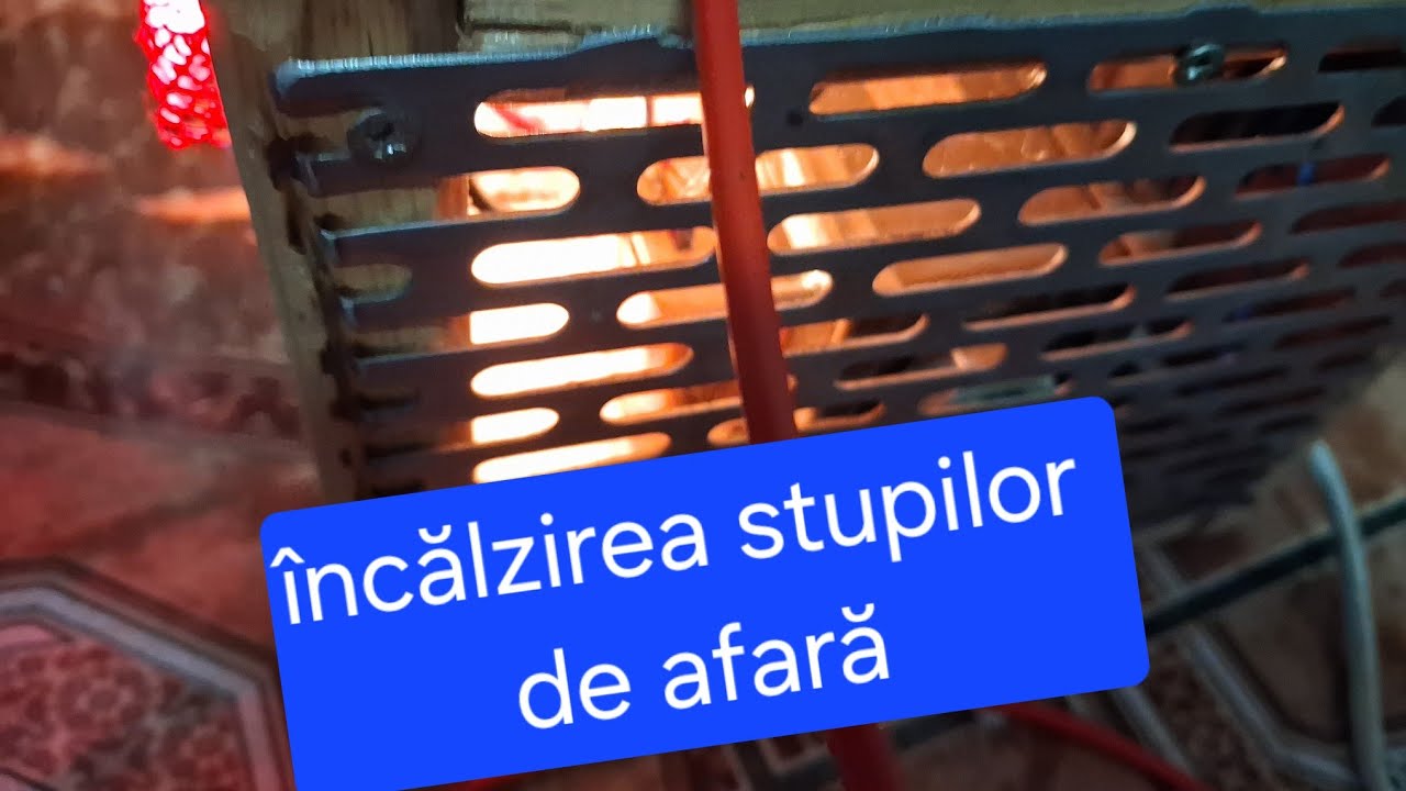 Am schimbat stimularea și încălzirea la stupii de afară 