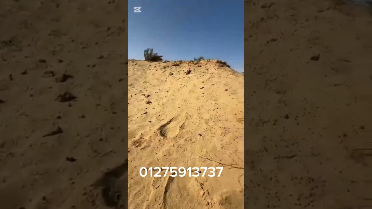 السلام عليكم 10 فدان قبائل قريه منديشه للاستفسار 01275913737#01109147141