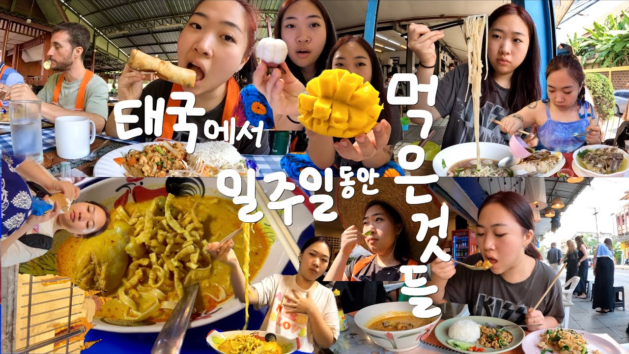 기억나나 가시나야. 내가 치앙마이 그래 좋아했다 | 태국 여행 먹방 브이로그🇹🇭