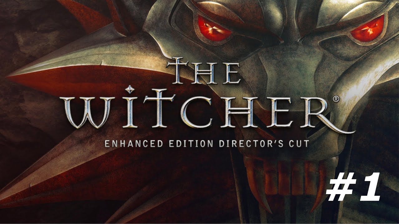 EL PRINCIPIO DE LA SAGA | THE WITCHER 1 #1