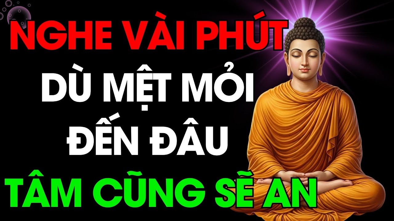 Nghe Pháp Trước Khi Ngủ – Dù Mệt Mỏi Đến Đâu, Tâm Cũng Lắng Lại, Ngủ Sâu Tự Nhiên