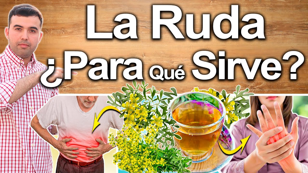 Ruda ¿Para Qué Sirve? - Beneficios De La Ruda Hembra O Macho Para Tu Salud Y Belleza