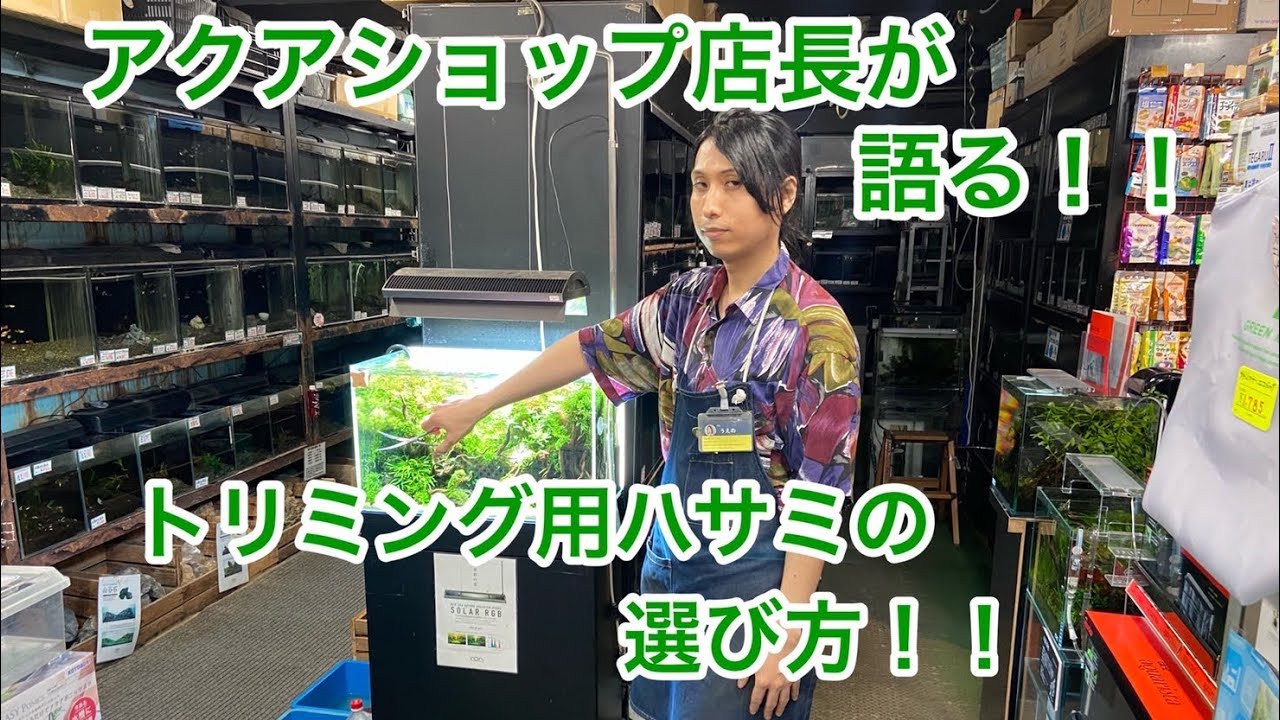水草トリミング用ハサミの選び方とおすすめのハサミ