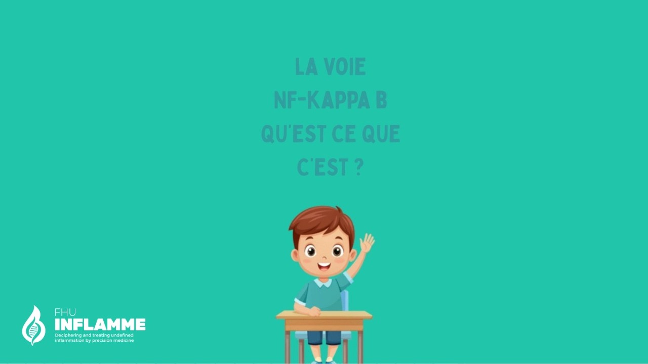 Episode n&deg;1 : La voie NF-&kappa;B