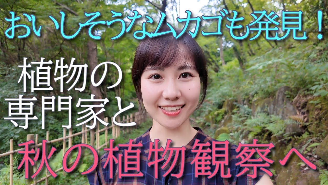 おいしそうなムカゴも発見！専門家と秋の植物観察へ行ってきました