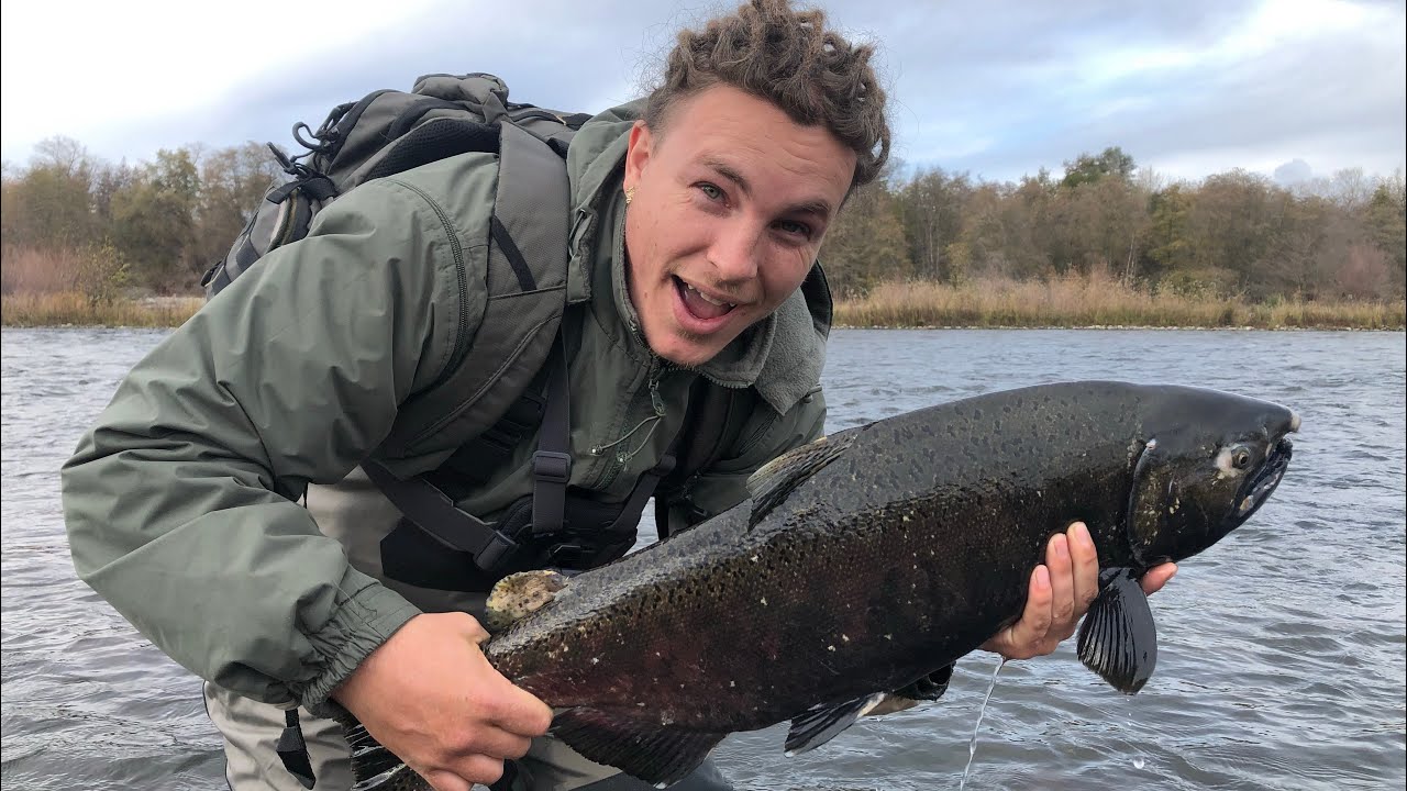 catching 2 huge salmon in the American River!!