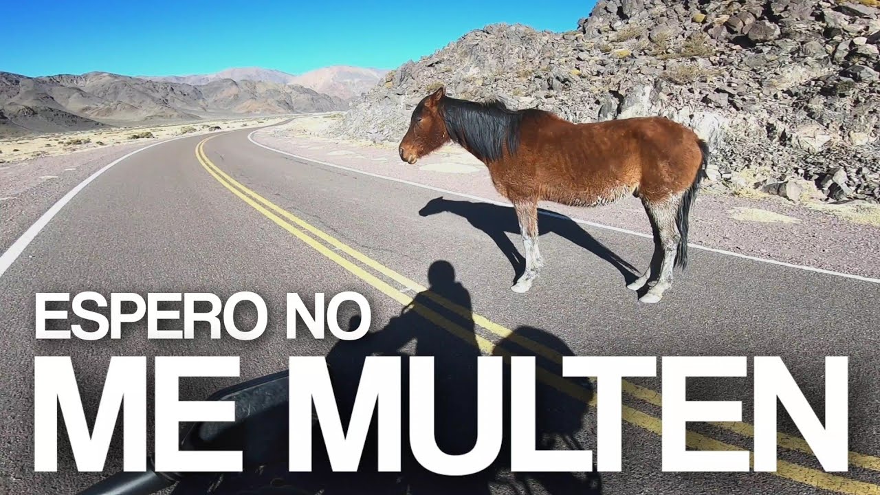 La RUTA 40 en MOTO | 37/90 | Ruta de los Seismiles y Hoster&iacute;a Cortaderas | Catamarca