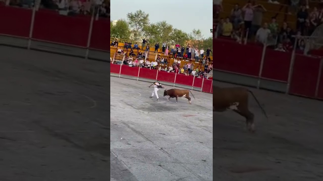 Concurso de maestros de la calle castellon 2022, @moha morete