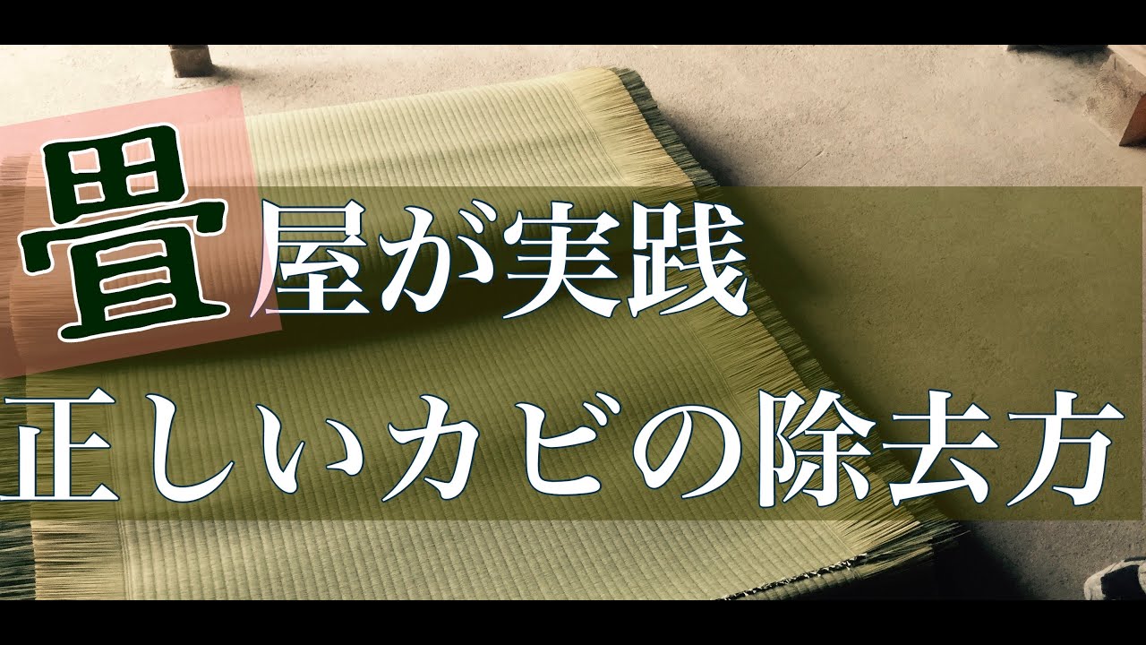 畳のカビ取り「畳にカビが生えたときの正しいお掃除方〜実践編〜」現役畳屋が実際にカビ取りをやっている動画です