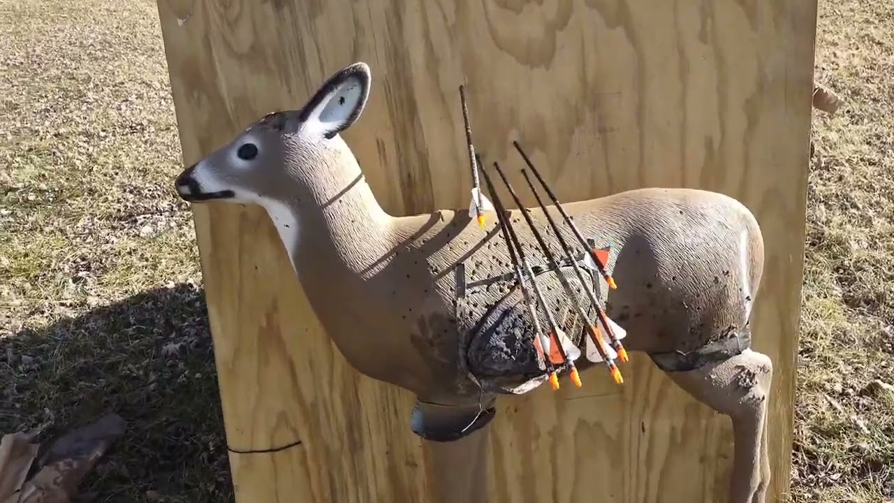 Trophy ridge fatal 4 pin sight sighting in follow the arrow