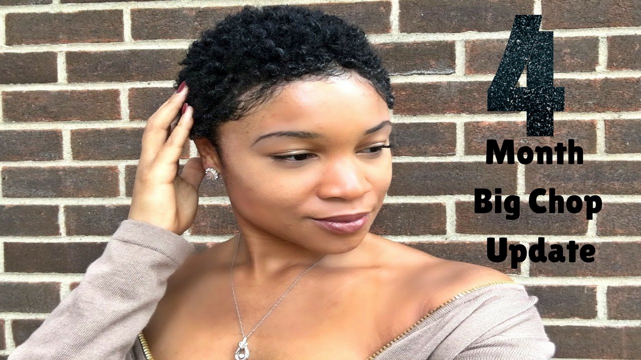 4 Month Big Chop Update