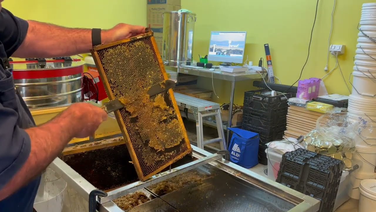 🐝  Our extracting & bottling process.  How we extract & bottle honey with less than 100 hives.