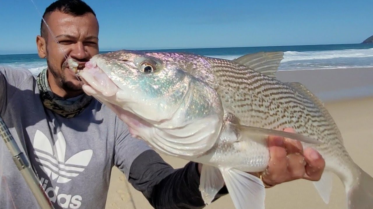 A Melhor PESCA DE CORVINA GRANDE na PRAIA 2021, SÓ AS MONSTRAS.