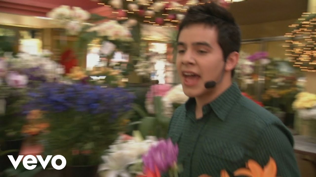 David Archuleta - Crush (Yahoo! Music Originals 2008)