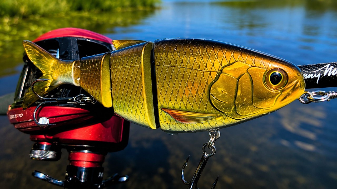 Smallmouth Bass DESTROYED My BBZ Bio-Shad Swimbait