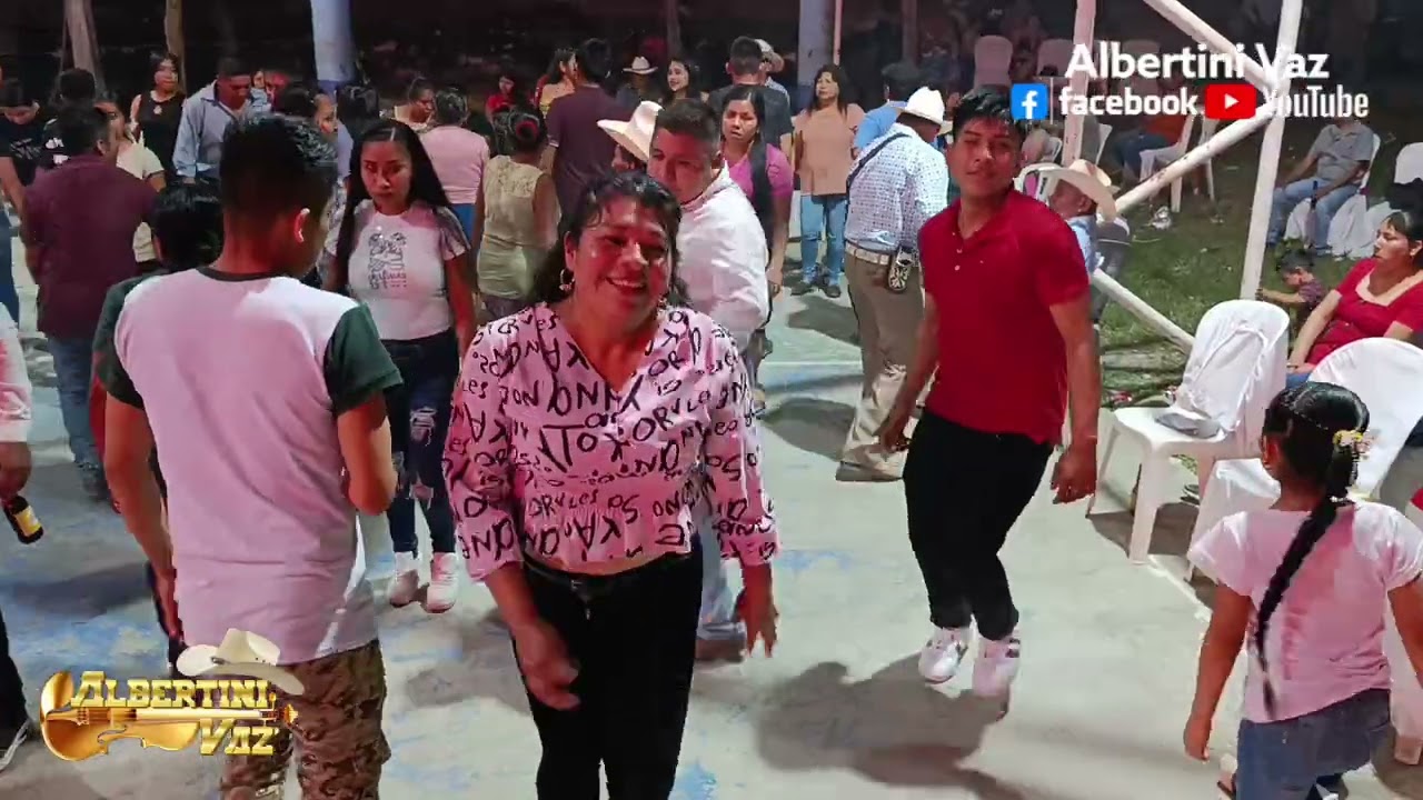 TRIO LOS SULTANES DE HIDALGO: sones carnavaleros desde Adolfo Ruiz Cortines Coxquihui Ver 