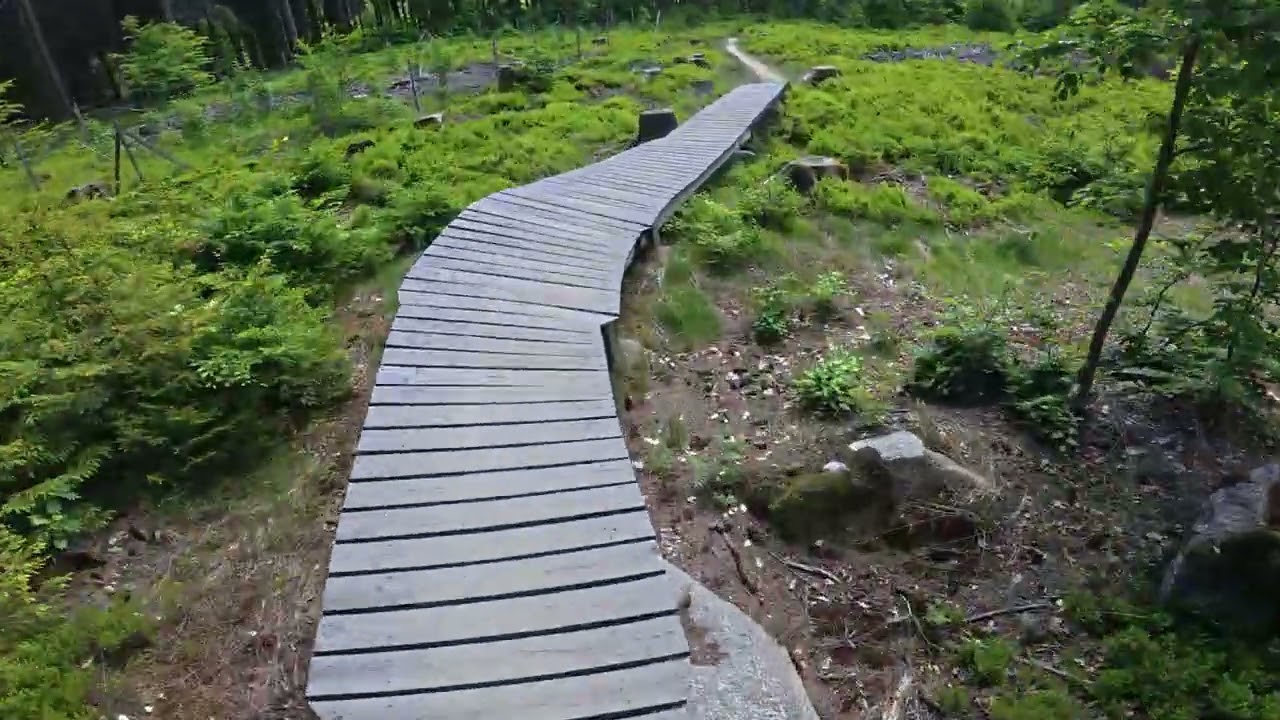 Ochsenkopf Downhill + Flowline 2025