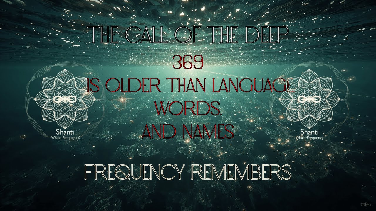 🕯️ The Call of the Deep – 369 is older than language 🐋 