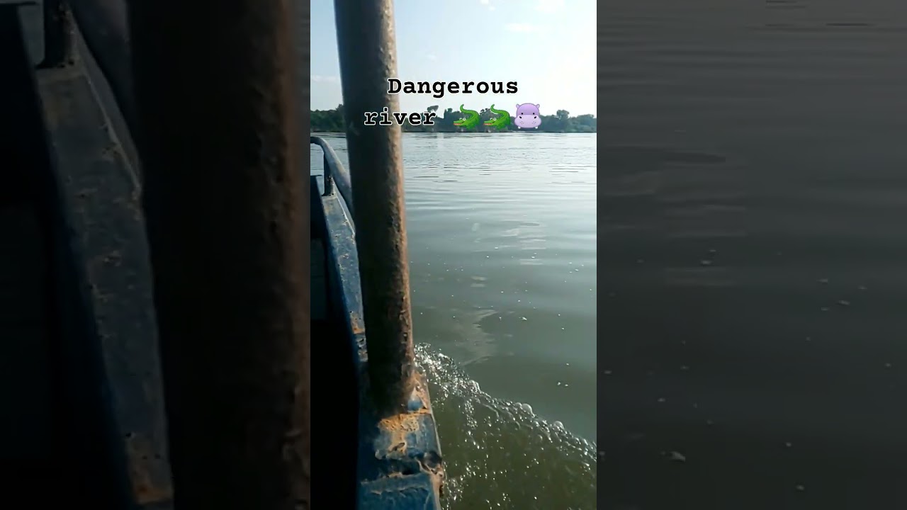 this is dangerous river in Tanzania called ruffig #wildlife #automobile #afrikanisch  #bushlife