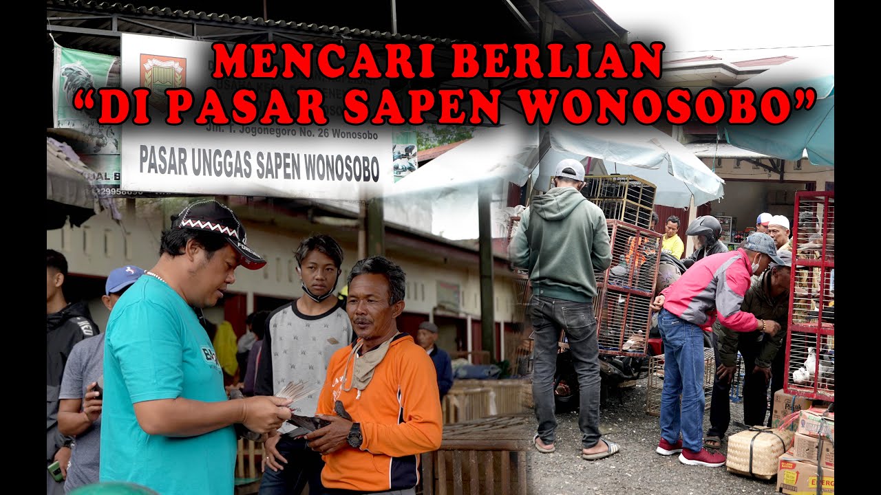 SERU BANGET!! MAIN DI PASAR MERPATI SAPEN WONOSOBO