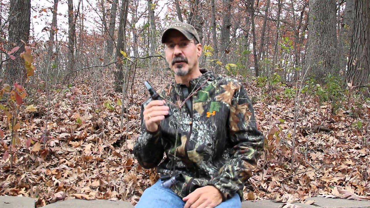 Coyote Calling Tips: Howl, Challenge, Bark And Pup Whine