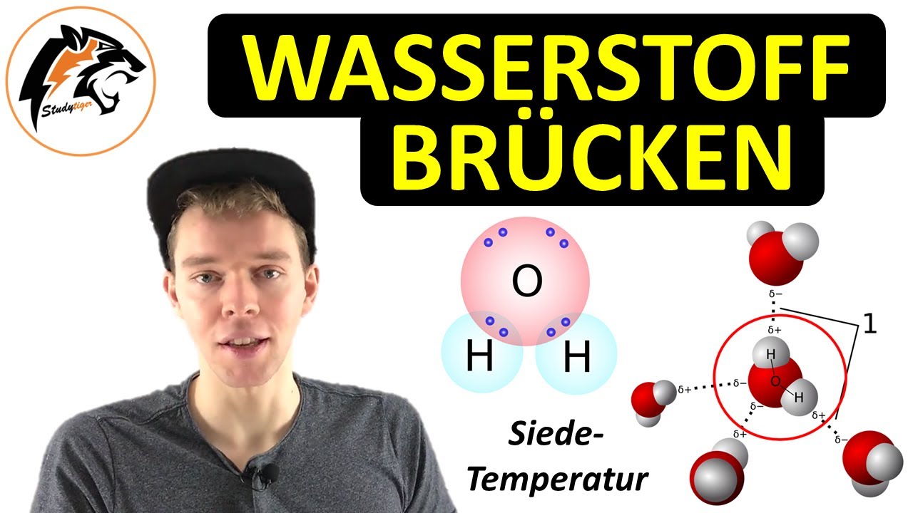 Wasserstoffbrückenbindungen | (NEU)