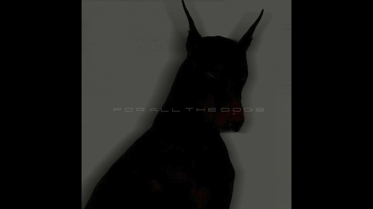 DRAKE x TRAVIS SCOTT TYPE BEAT - DOG POUND