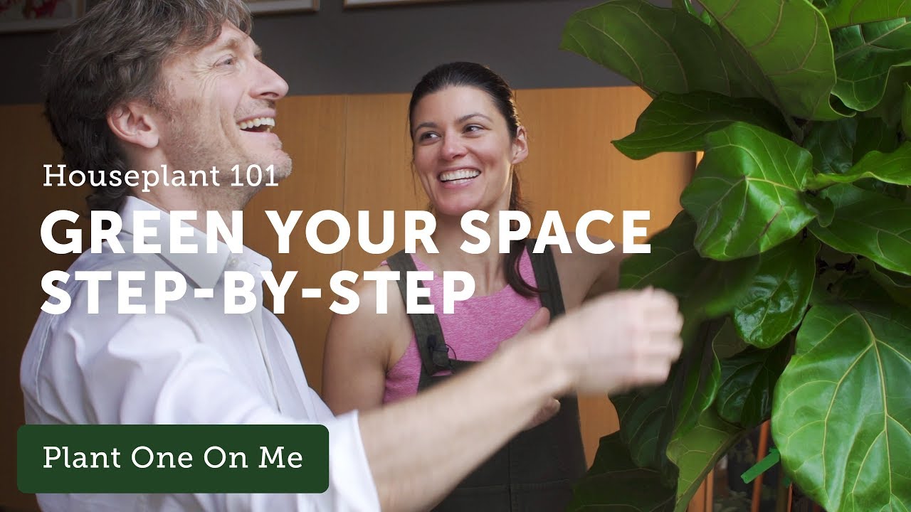 Houseplant 101: Houseplant Home Makeover! — Ep 118