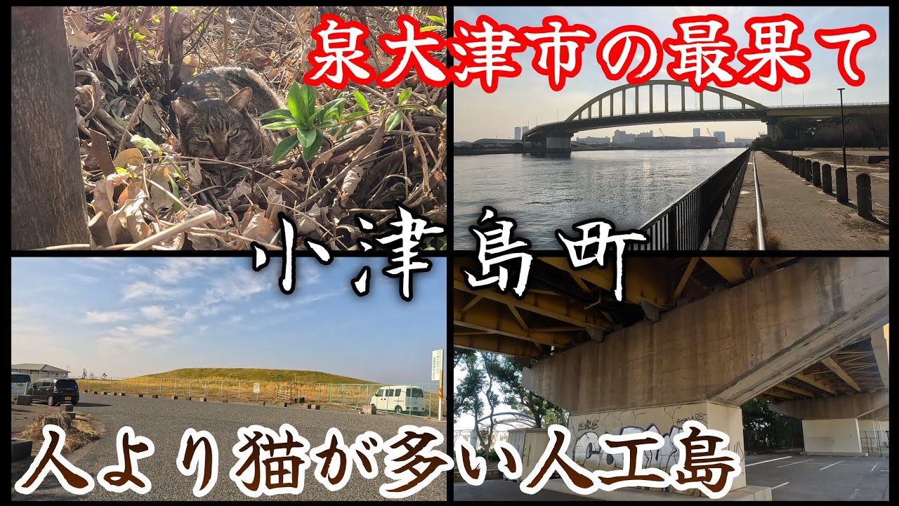 【小津島町】泉大津市民の殆どが行った事がない最果ての人工島。An artificial island that most Izumiotsu residents have never been to.