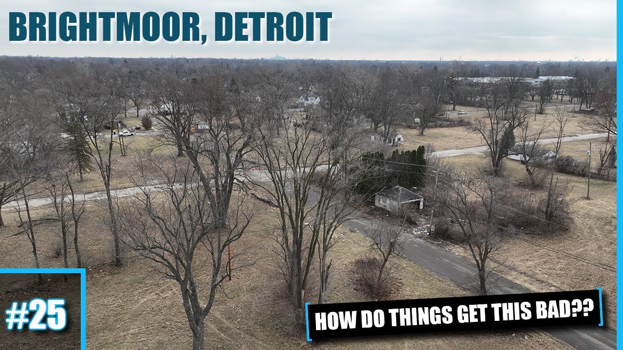 This ABANDONED Detroit Neighborhood Is Turning Back To Nature: Brightmoor