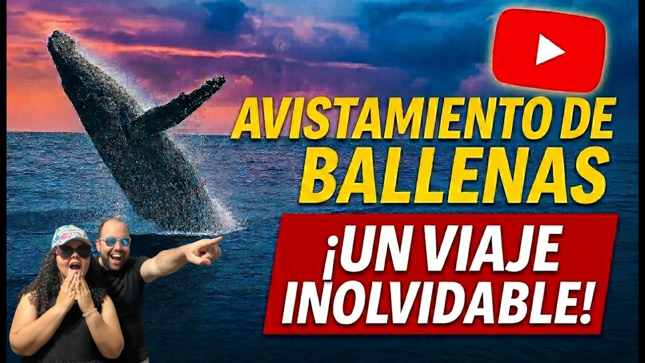 ¡El salto fue épico! Avistamiento de ballenas en la Bahía de Samaná.🇩🇴