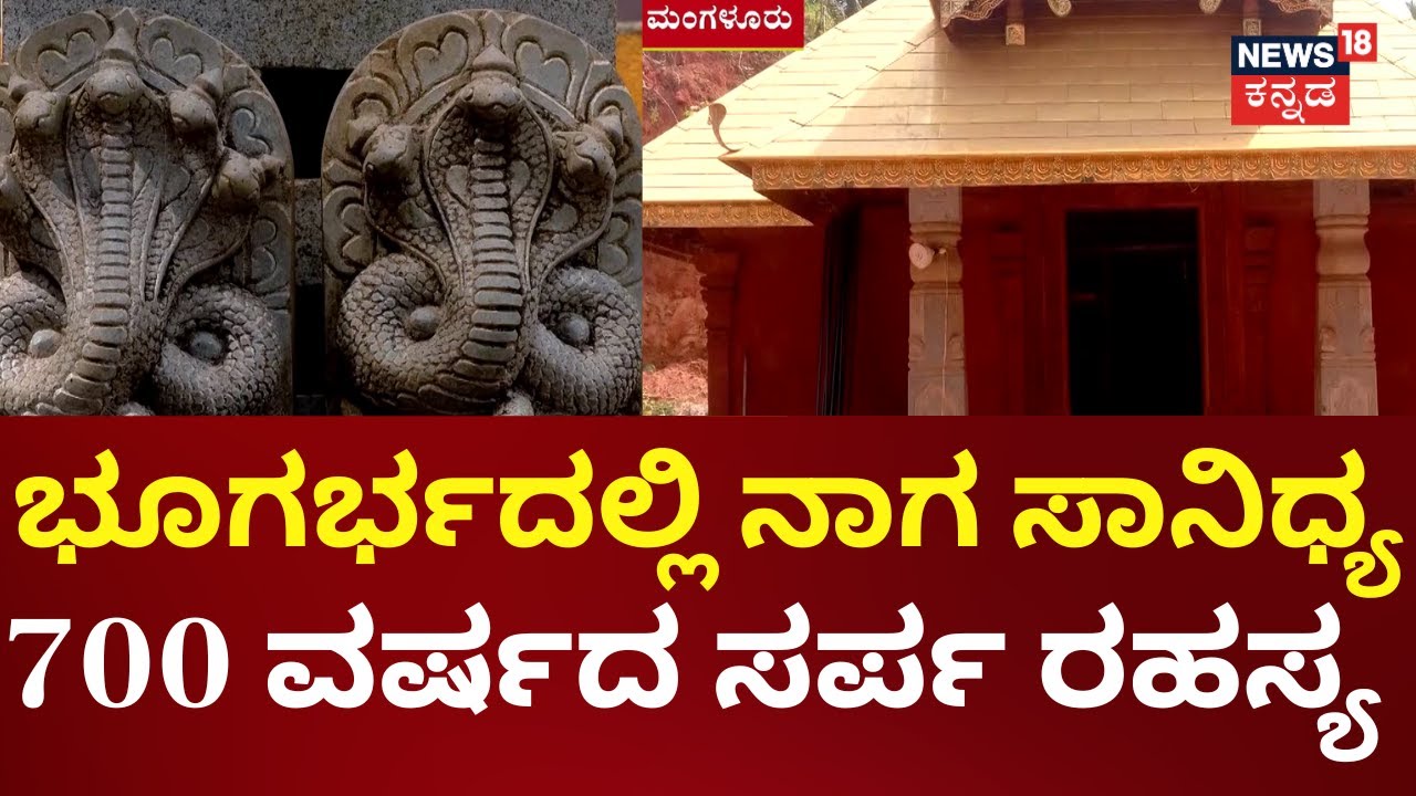 Mangalore Naga Devate | ಪೆದಮಲೆಯಲ್ಲಿ ತಲೆ ಎದ್ದಿದೆ ದೈವ ದೇಗುಲ