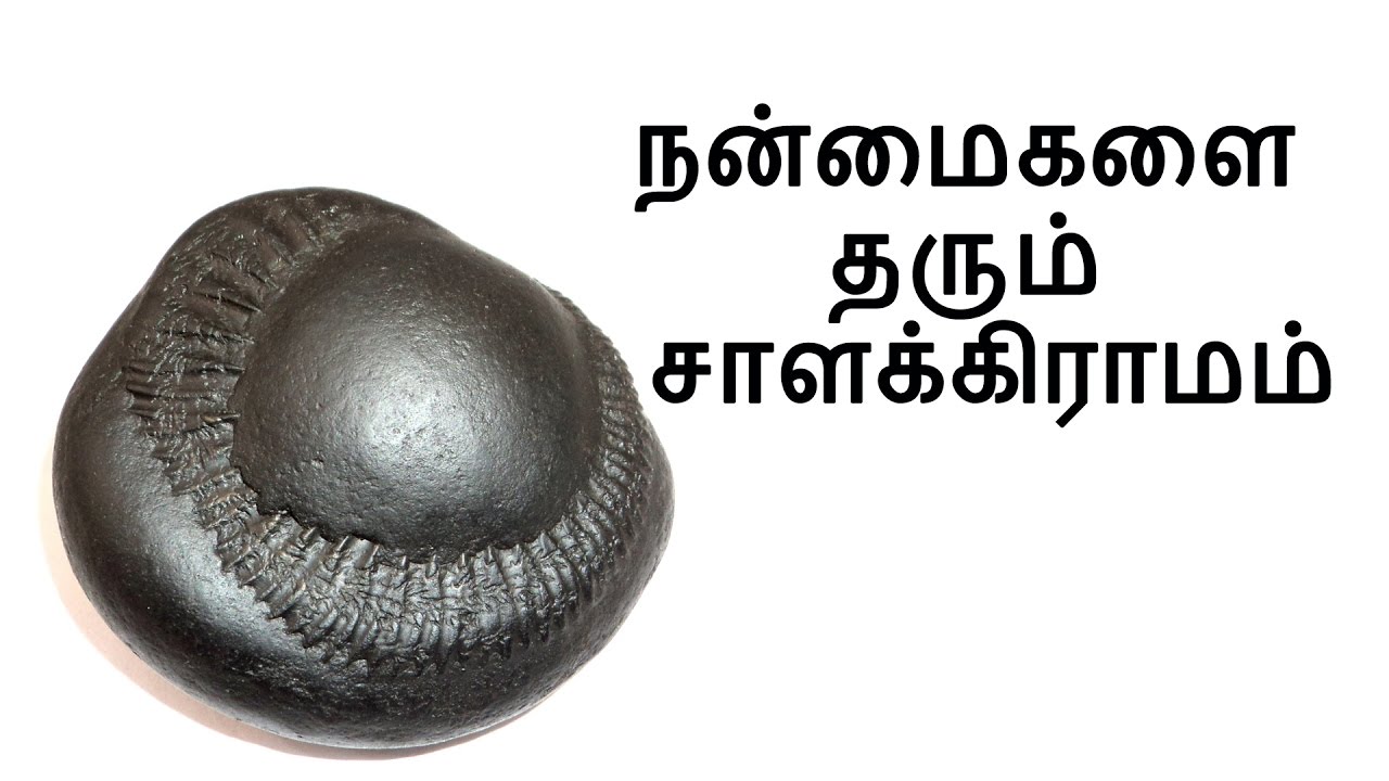 நன்மைகளை தரும் சாளக்கிராமம்