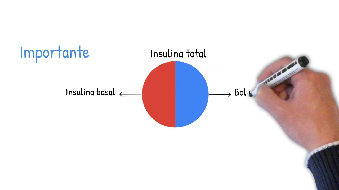Como funciona o pâncreas - Tratamento Diabetes Tipo 1