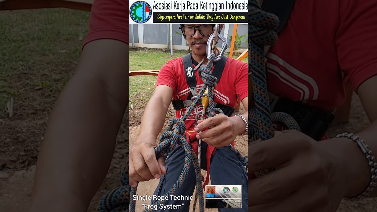 Frog System (SRT)