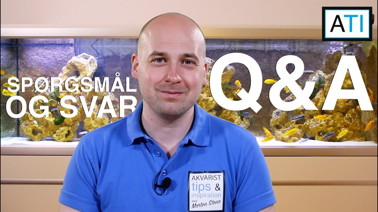 Q&A 1 - Hold akvarierne pæne? BiOrb akvarie? Brug af gødning? Fokus videoer?