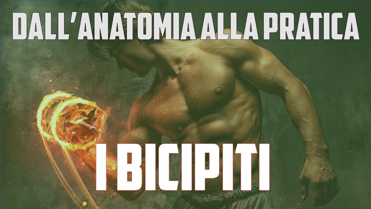 ESERCIZI BICIPITI: dall'anatomia alla pratica