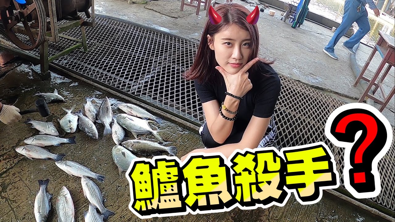 【亦起來釣魚】鱸魚大爆釣，今天的魚一定都是公的...