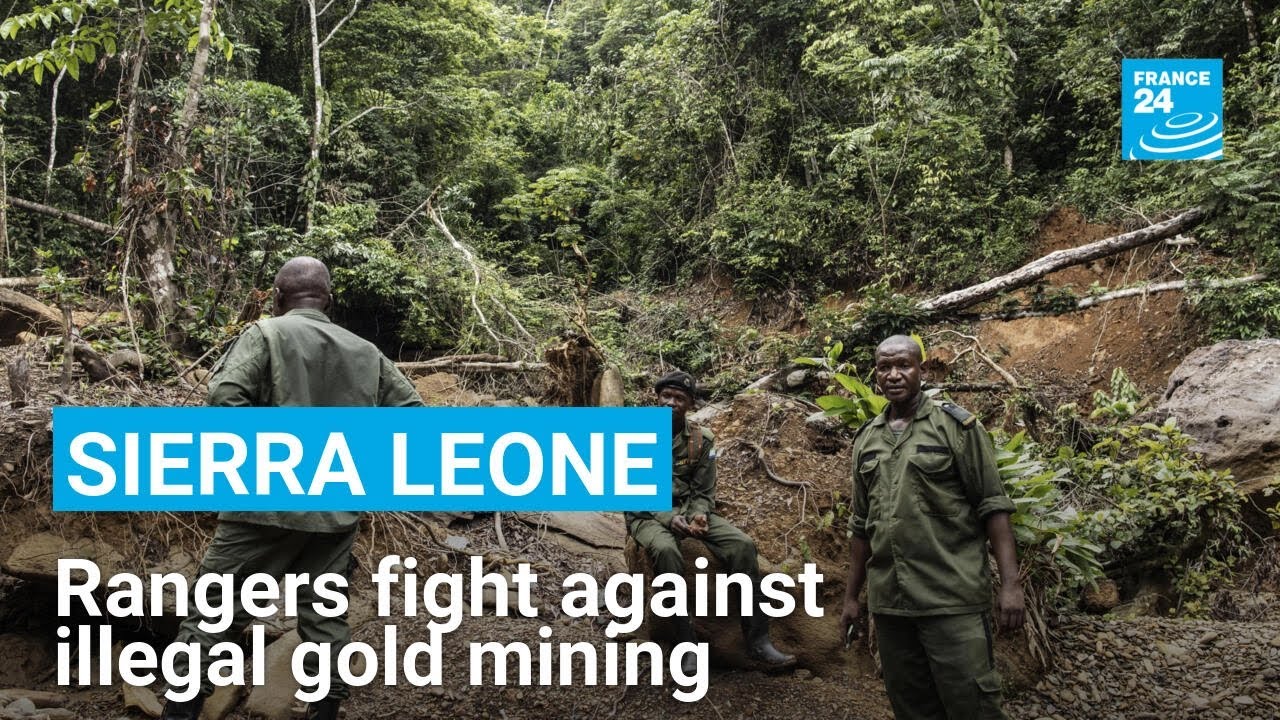 Sierra Leone: Rangers fight against deforestation and illegal gold mining in Kambui Hills Reserve