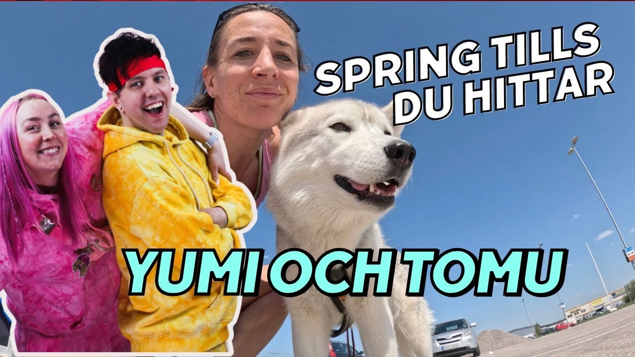 LETAR EFTER YUMI OCH TOMU