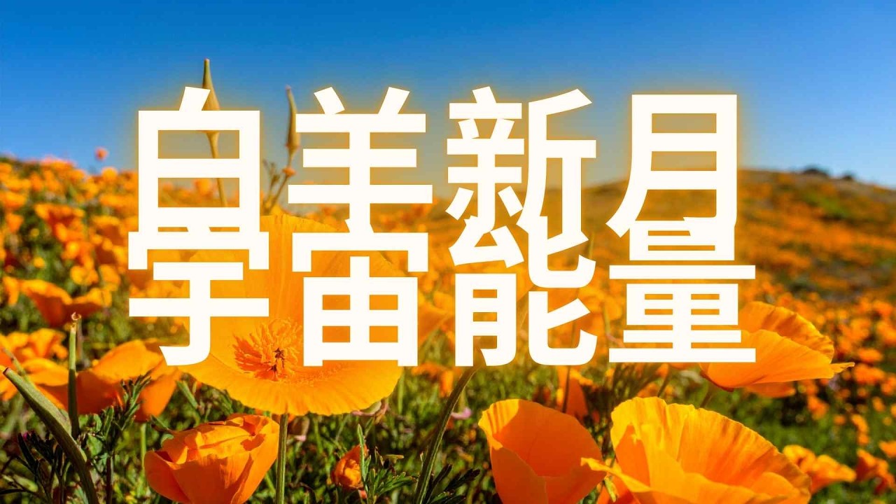 2026年4月17日白羊新月的宇宙能量｜一個無法回頭的開始
