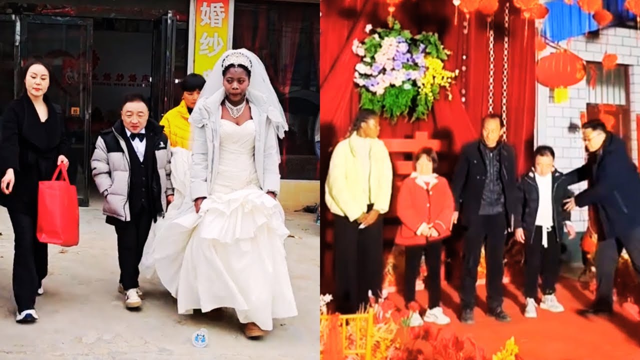 Dandy and Dalang will hold a wedding tomorrow! It's rehearsal tonight! 🧡