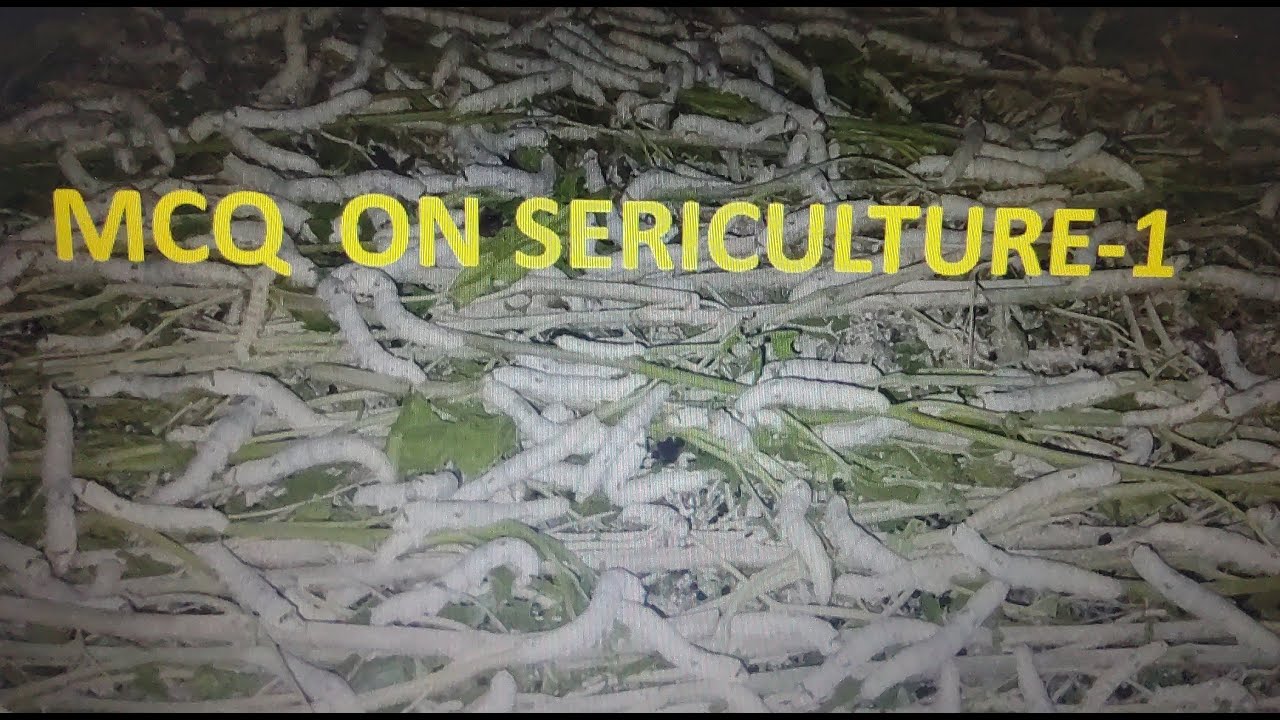 MCQ on Sericulture/Silkmoth/Silk