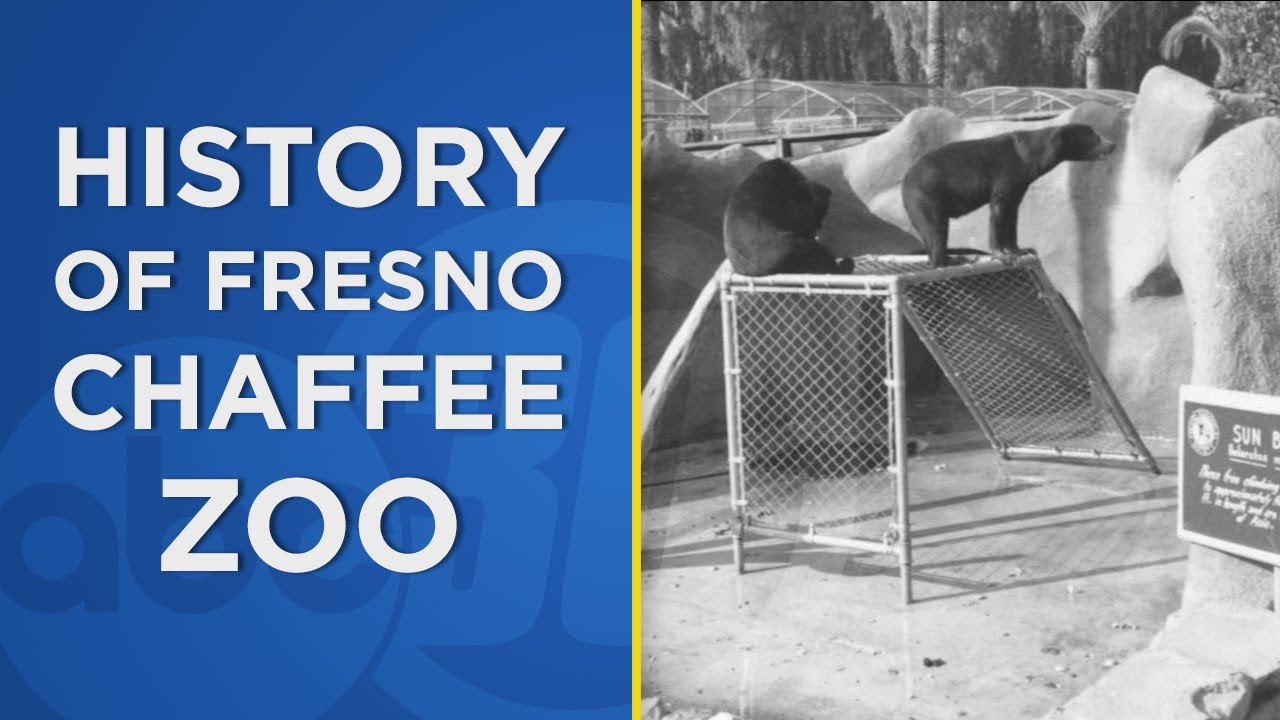 Fresno Chaffee Zoo celebrates its 90th anniversary