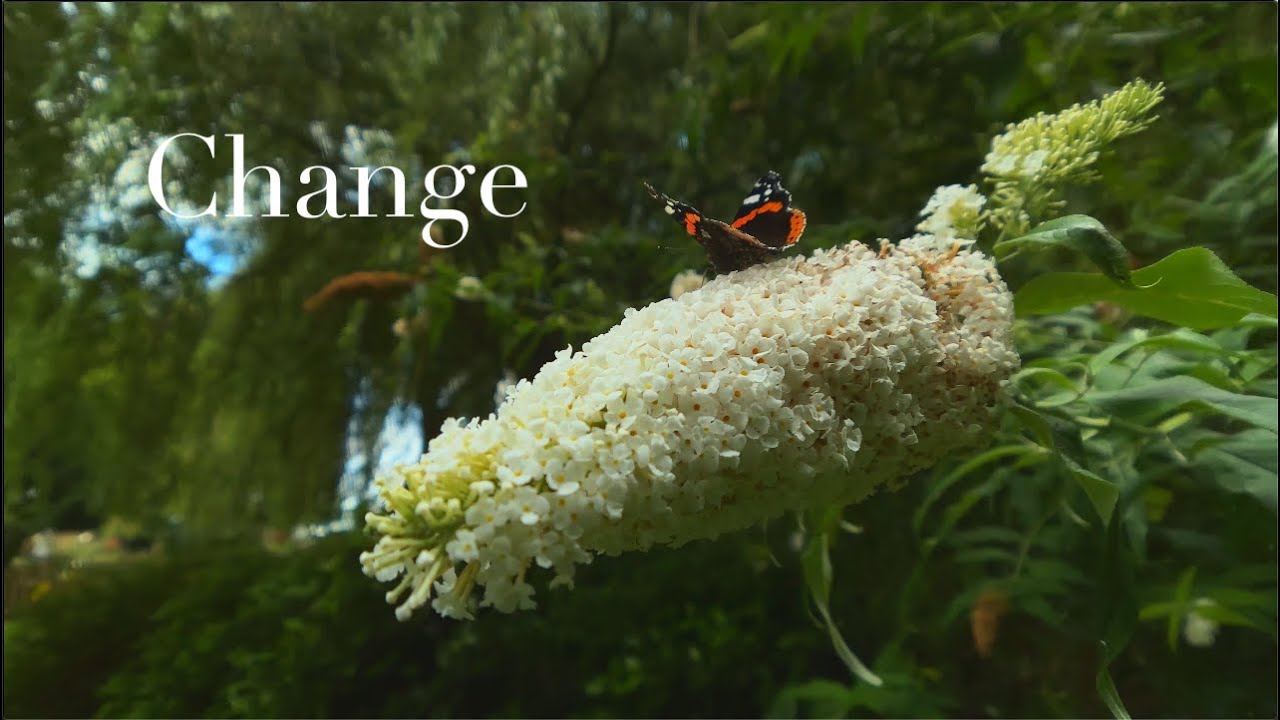 Samson the Producer - Change