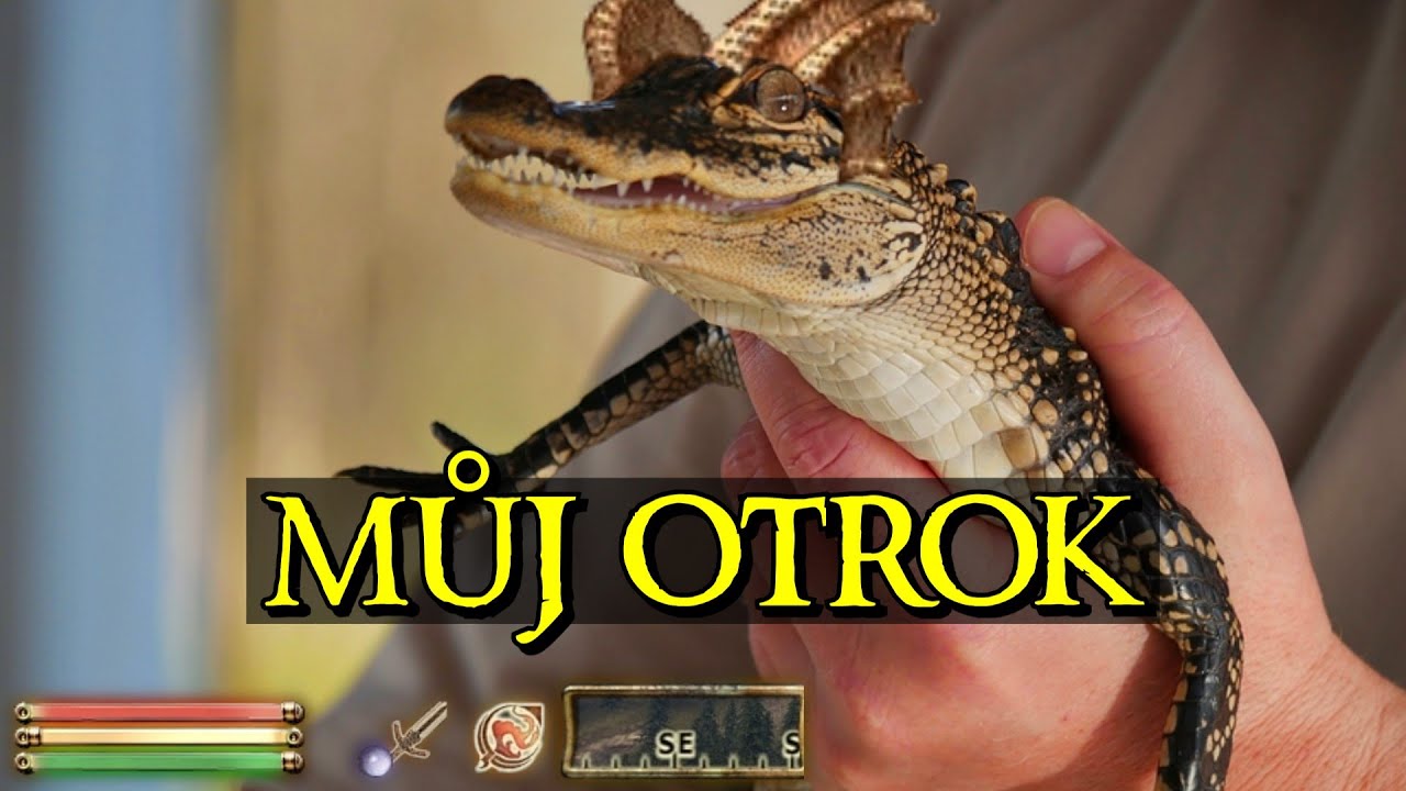 Argoniani nemají ŽÁDNÁ PRÁVA