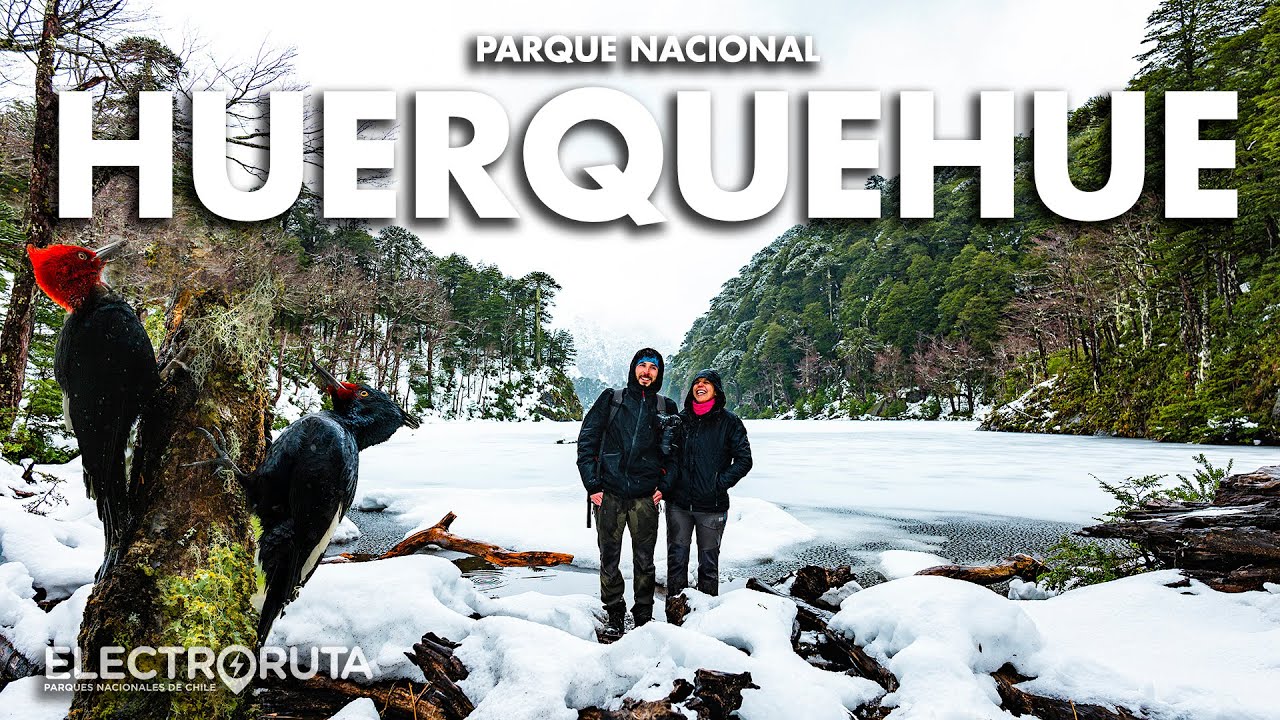Huerquehue En Invierno | Sendero Los Lagos | Parques Nacionales de Chile 21/46
